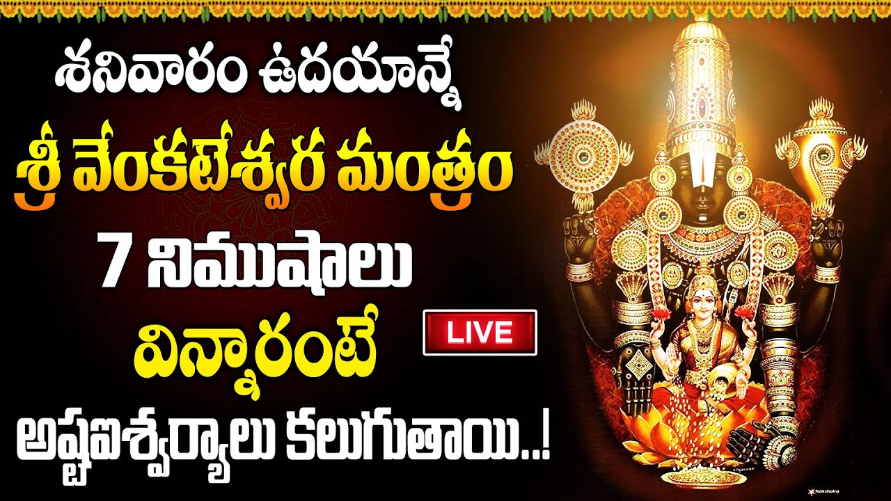 LIVE : శనివారం ఉదయాన్నే శ్రీ వేంకటేశ్వర మంత్రం 7 నిముషాలు విన్నారంటే అష్టఐశ్వర్యాలు కలుగుతాయి..!