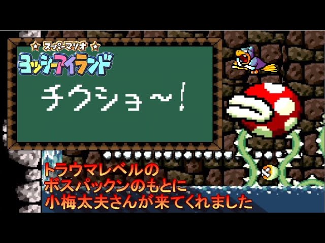 魚の目市場 — マリオン・ホイーラー博士をすこれ。 Tale「055についてお話しましょう」 元記事：