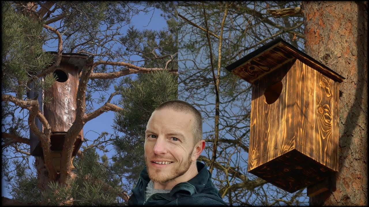 Checking the Owl Houses and Preparing for Spring