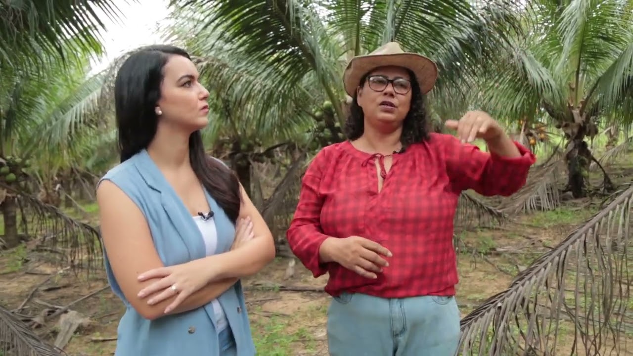 Produtora de coco mostra sua plantação em Porto Velho
