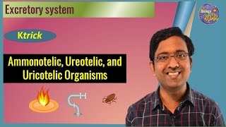 (Ktrick) Ammonotelic, Ureotelic, and Uricotelic Organisms I Excretory System I NEET I (KT)