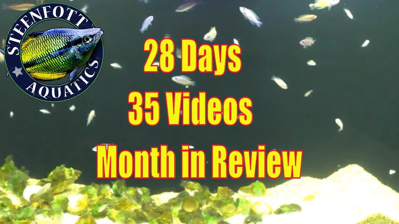 28 days later movie 28 Days in the Fish Room