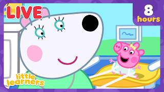 π΄ LIVE! Peppa Pig Learns About Life With Baby EVIE! πΌπ· | Peppa Pig Tales Full Episodes