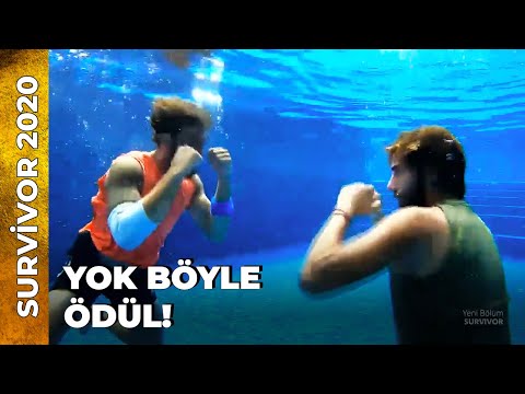 SURVİVOR'DA MUHTEŞEM ÖDÜL! | Survivor 2020