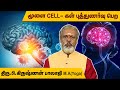 So many benefits if the brain cells work well watch l krishnan balaji l mega tv 