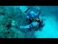 Neemo 22 mission highlights