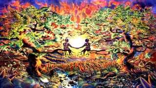 The Infinity Project - Cybertropic