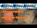 🏡 🚗  🚜  Lost Place - Scheunenfund - Oldtimerschätze im verlassenen Bauernhof - März 2019 - # 028