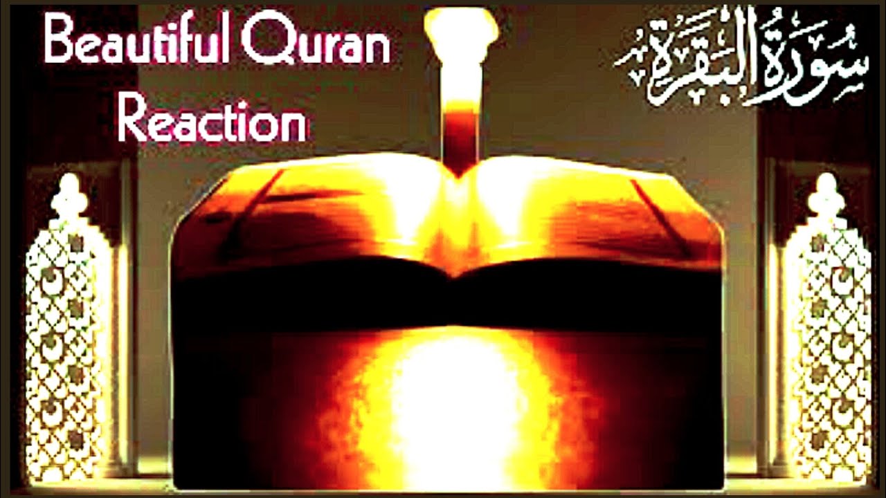 Surah Baqarah (Fast Recitation) Quick Reading By Sheikh Mishary Afasy With Arabic  سورة البقره Ep093