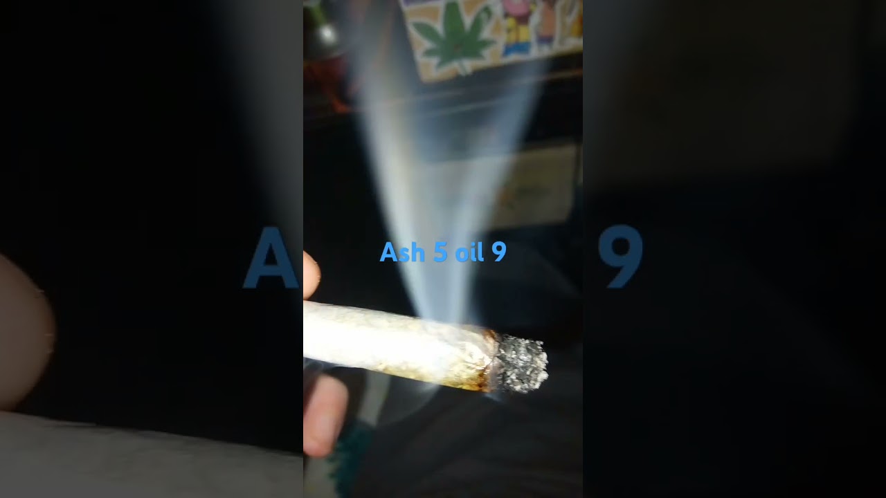 Lit farms space runtz 