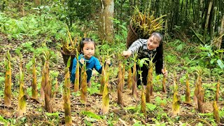 Harvesting bamboo shoots with my daughter went to the market to sell | Tương Thị Mai