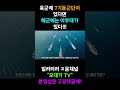 육군에 7기동군단이 있다면 해군에는 이부대가 있다! #shorts