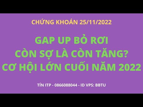 Chứng khoán 25/11/2022 | Gap up bỏ rơi, còn sợ là còn tăng | Cơ hội lớn cuối năm 2022 - Tín ITP
