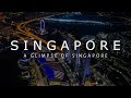 A glimpse of Singapore (1/4) [4K]