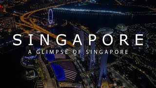 A glimpse of Singapore (1/4) [4K]