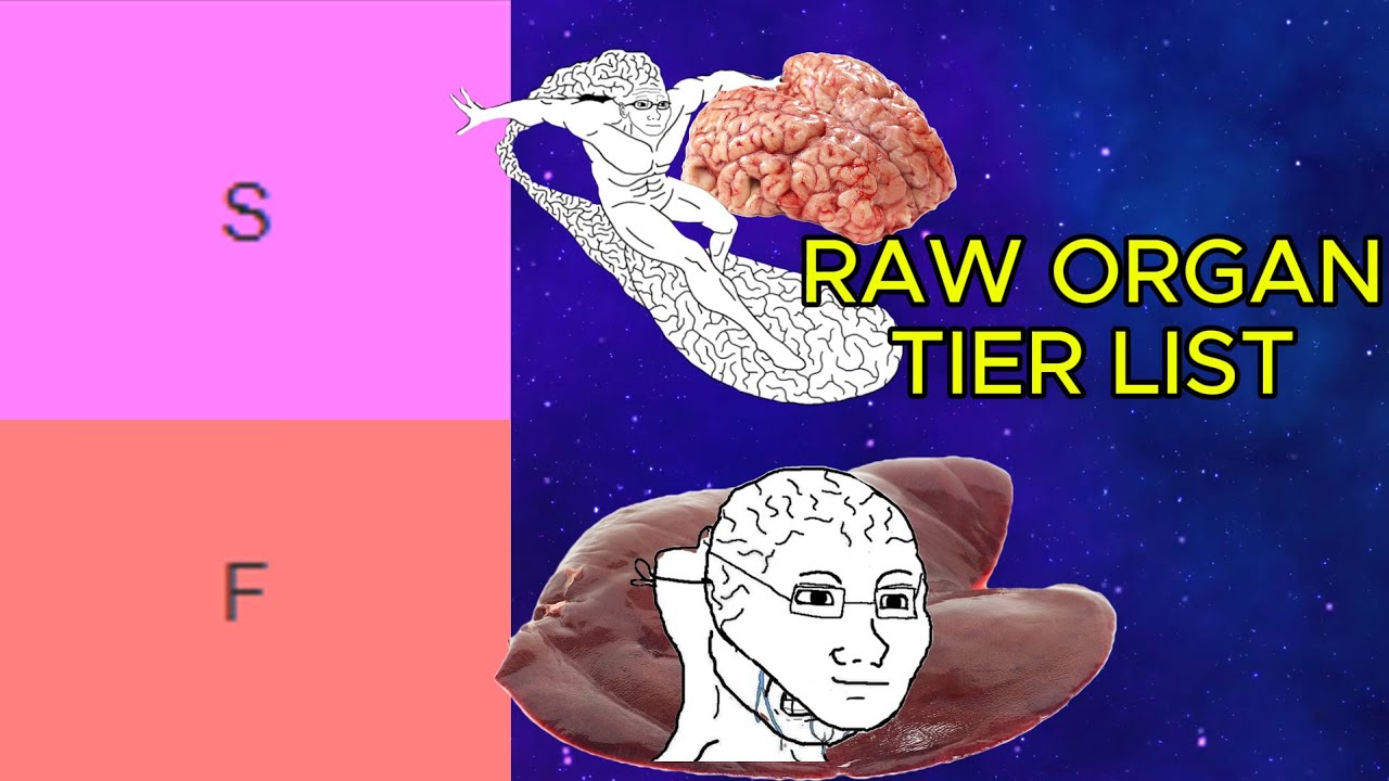 RAW ORGAN TIER LIST