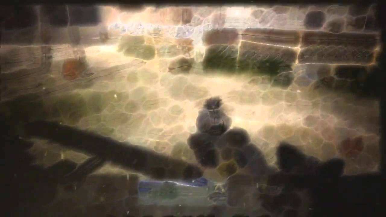 Introducing Reza - RezAbility #1 - by MertyHD