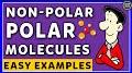 Be Polar from www.youtube.com