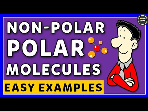 Polar And NonPolar Molecules | Chemistry