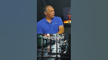 How do you prevent rats and mice from coming into your house? #pestcontrol #trueclean #rats #mice