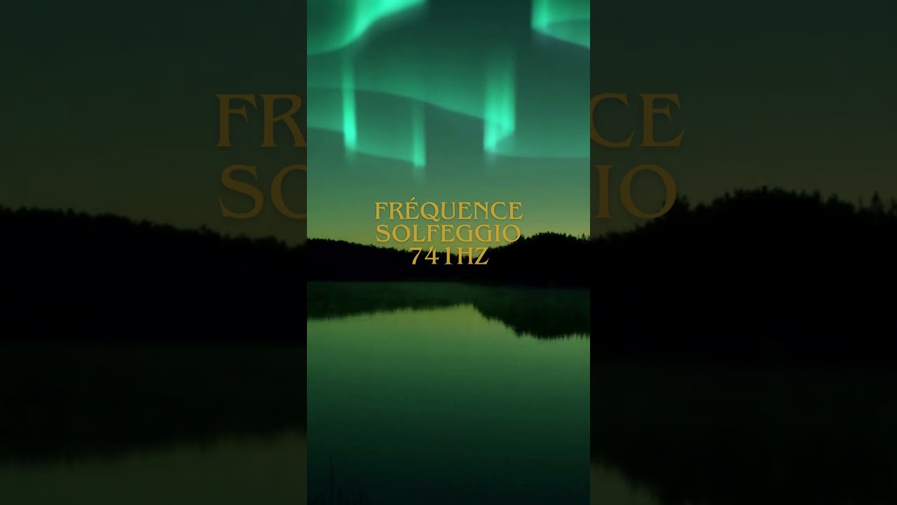 Marie Madalena & Pierre-Naïm - Extrait Live Guidance - Fréquence Solfeggio 741 Hz