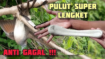 Cara Membuat Pulut Burung Super Lengket Anti Gagal