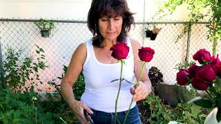 Red Rose Flower Arrangement