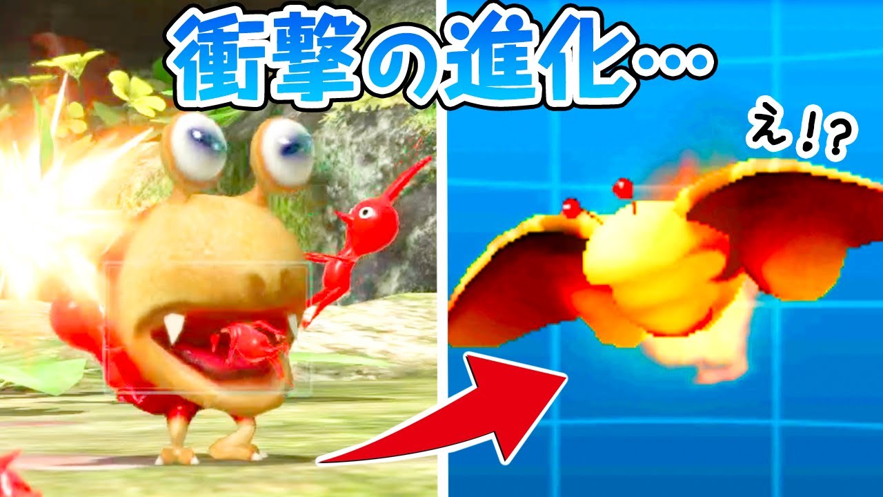 実はピクミンの外伝には コチャッピーが飛ぶようになった生物がいるらしい パンモドキ科の驚異の進化 Youtube