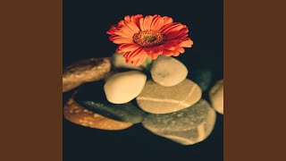 Subdued Calming Sound Therapy