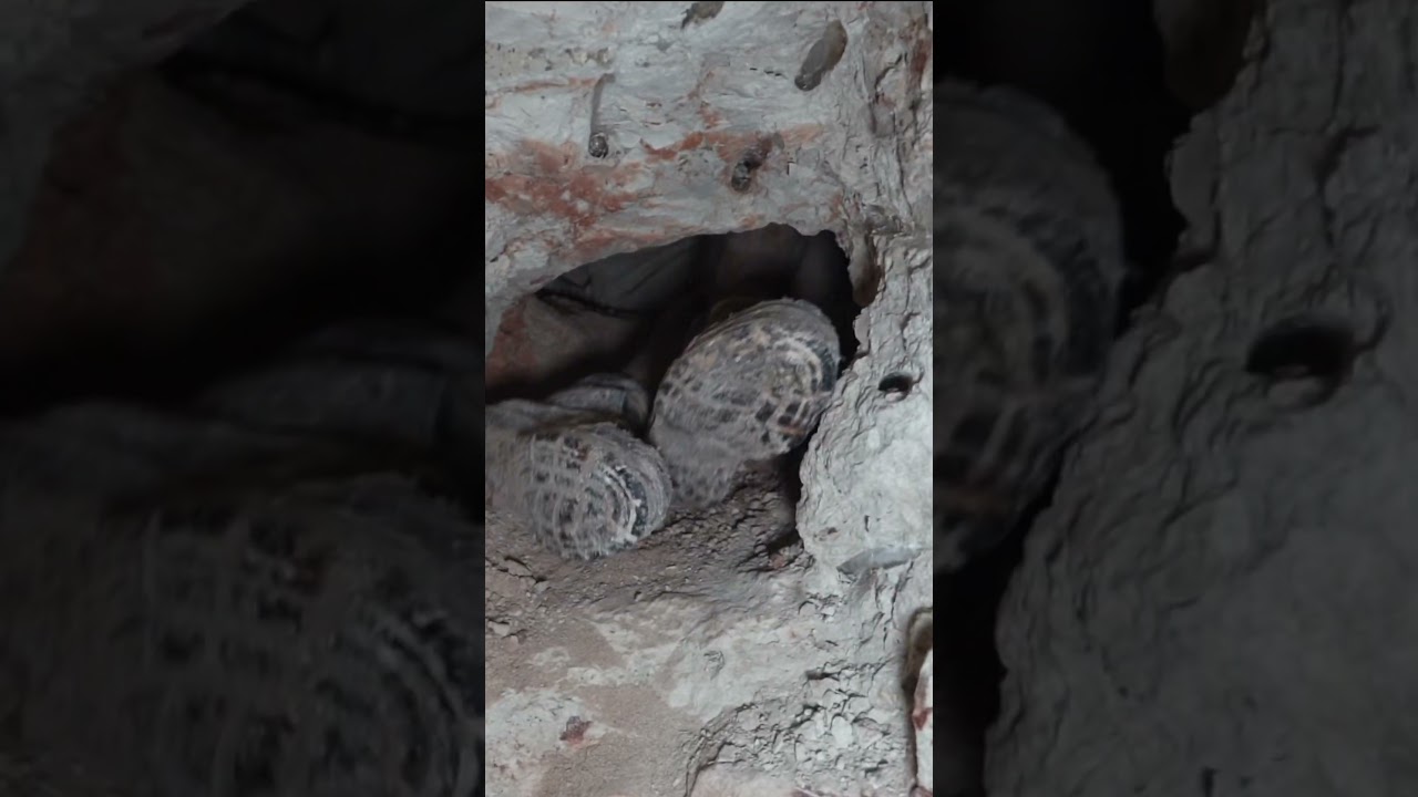 Check out the full video Opal hunter VS The Earth now on our channel!