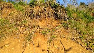 Fındık Gübresi Atılırken Yapilan En Büyük Yanlış Meyilli Arazi Gubre Nereye Atılır