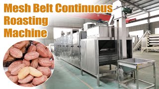 Continuous Peanut Roasting Machine | Efficient Belt-Type Roaster in Action! 🥜🔥#roast #roaster
