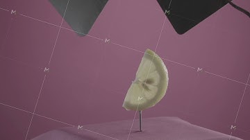 Lemon rotating with loop on fuchsia screen for chroma key