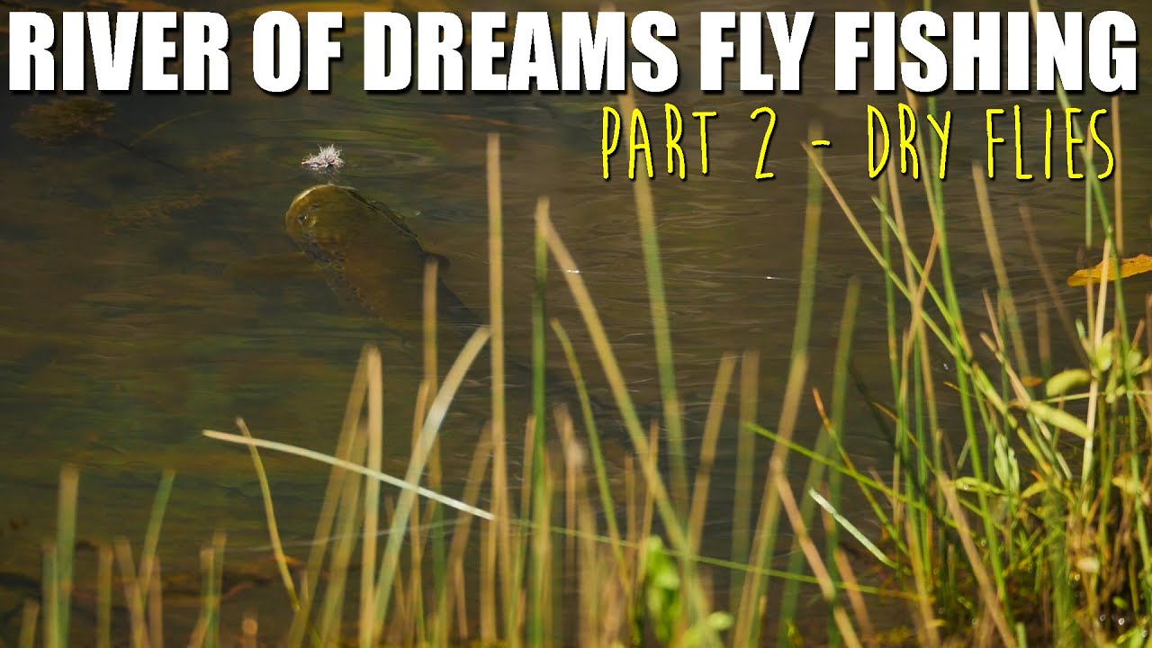 Dry Fly Fishing the River of Dreams - Patagonia 