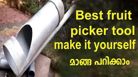 Make Best Fruit Picker Tool