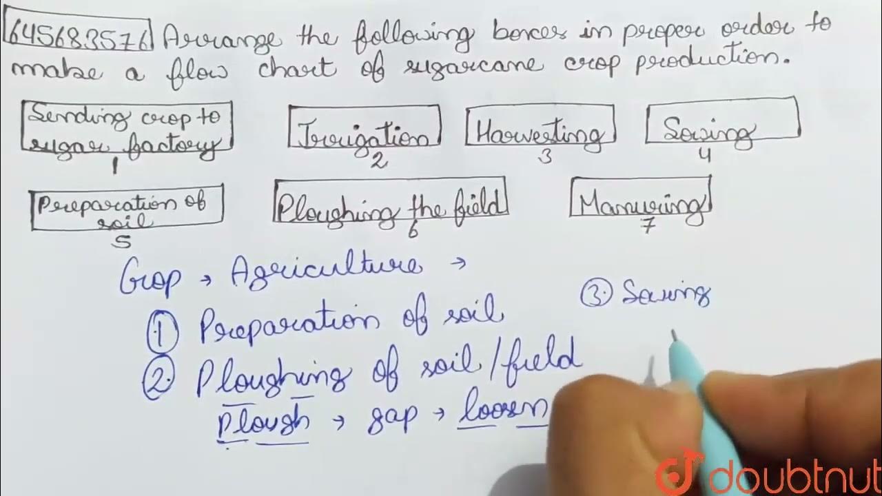 arrange-the-following-boxes-in-proper-order-to-make-a-flow-chart-of