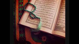 تلاوة سورة الإسراء بصوت القارئ وديع اليمني