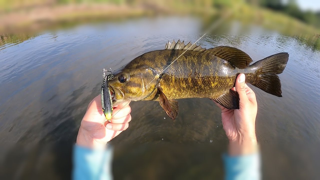 Whopper Plopper Bass Fishing !