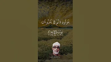 محمود خليل الحصري تلاوة خاشعة من سورة الانعام 