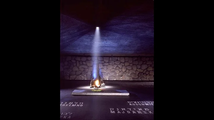 John and Susan Michalczyk, "The Shoah in Film: His...