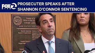 Los Gatos Party Mom Prosecutor speaks after sentencing KTVU
