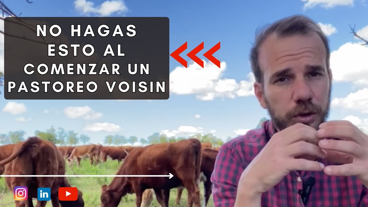 Principales, PROBLEMAS de un PASTOREO RACIONAL VOSIN, antes de empezar. 🖐️🛑