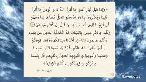 سورة البقرة من آية 91 الى 93