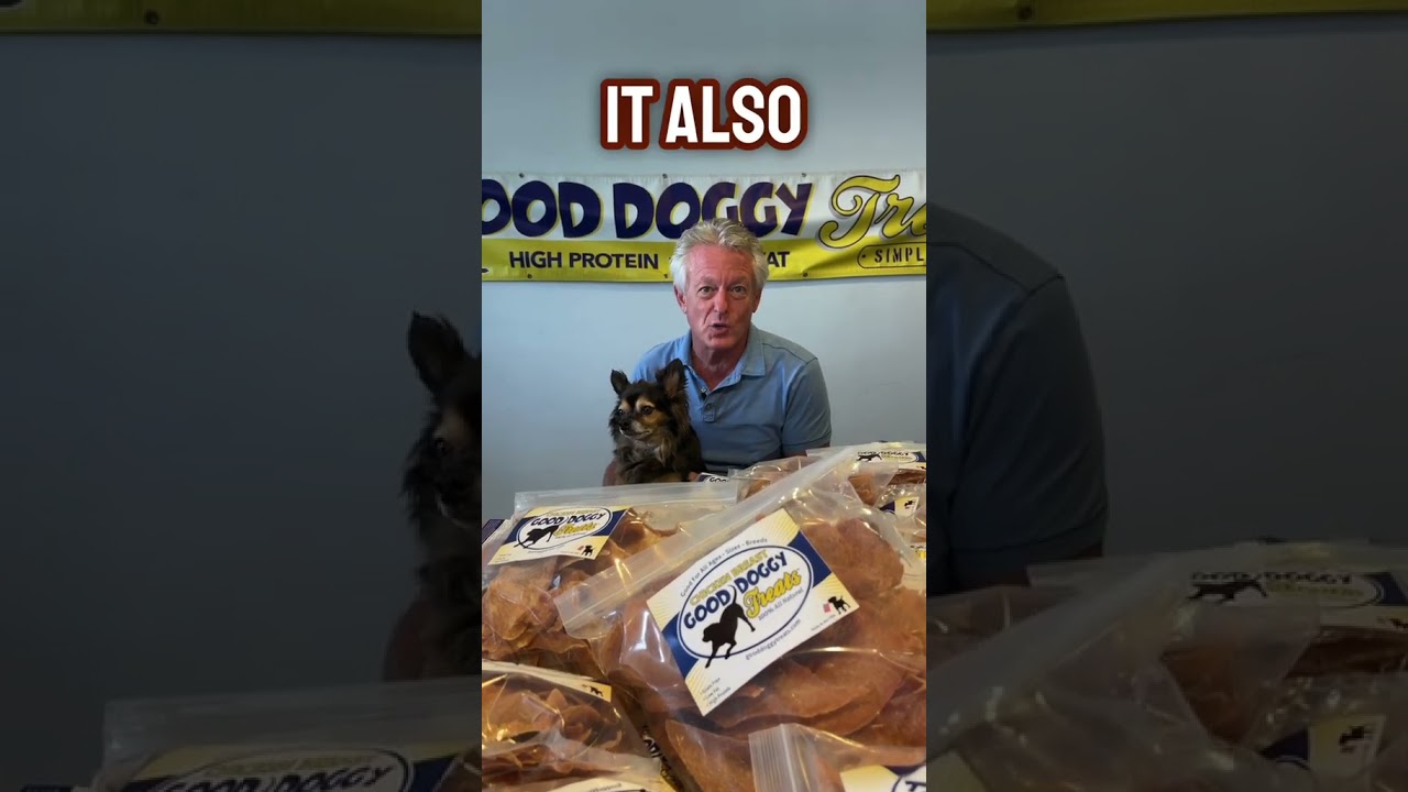 HOW TO CALCULATE A DOGS AGE