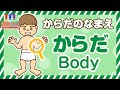 からだ編|体(からだ)のなまえ覚えてみてね(英語字幕あり)|子供向け知育動画