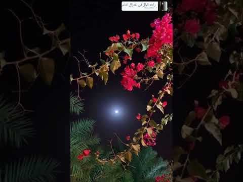 ولا لينا أصحاب علشان نتخان 