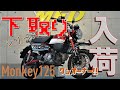 ホンダ モンキー125 ABS 2,079km ワンオーナー SP武川スポーツマフラー(ノーマルルック)   サウンドチェック MFD神戸店 中古 新規入荷車両【特選125ccバイク紹介】