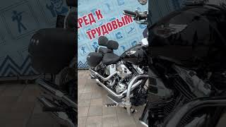#harleydavidson #softaildeluxe