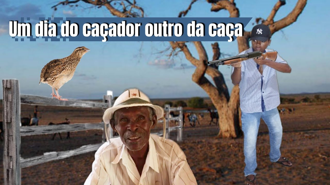 História de caçador - Caçada de codorna na caatinga #caçadas #codorna