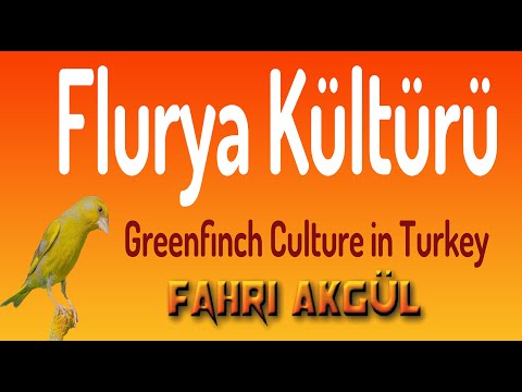 Flurya Kültürü 020 - Mustafa Aksoy (Tekel Mustafa)